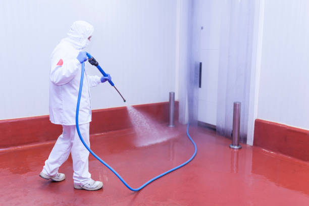  Walterboro, SC Pressure Washing Pros